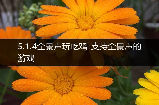 5.1.4全景声玩吃鸡-支持全景声的游戏