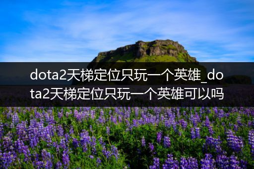 dota2天梯定位只玩一个英雄_dota2天梯定位只玩一个英雄可以吗