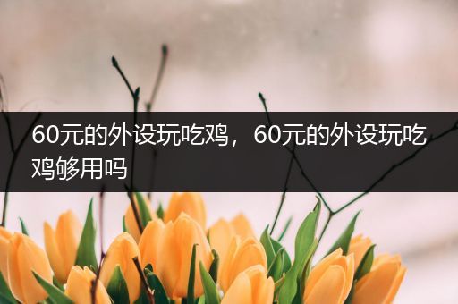 60元的外设玩吃鸡，60元的外设玩吃鸡够用吗