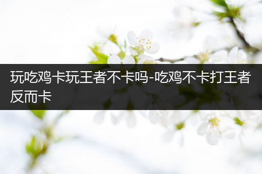 玩吃鸡卡玩王者不卡吗-吃鸡不卡打王者反而卡