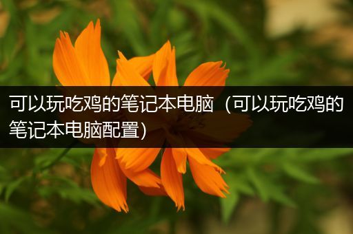 可以玩吃鸡的笔记本电脑（可以玩吃鸡的笔记本电脑配置）