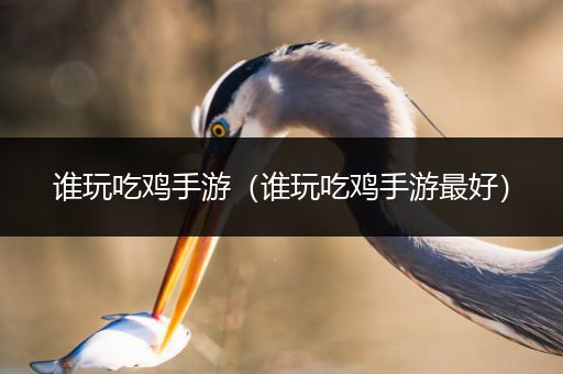 谁玩吃鸡手游（谁玩吃鸡手游最好）