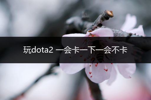 玩dota2 一会卡一下一会不卡