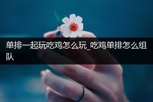 单排一起玩吃鸡怎么玩_吃鸡单排怎么组队