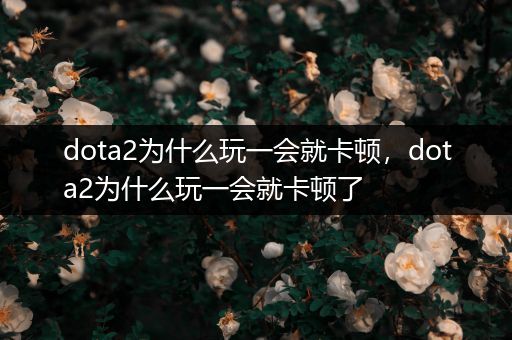 dota2为什么玩一会就卡顿，dota2为什么玩一会就卡顿了