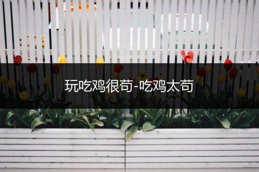 玩吃鸡很苟-吃鸡太苟