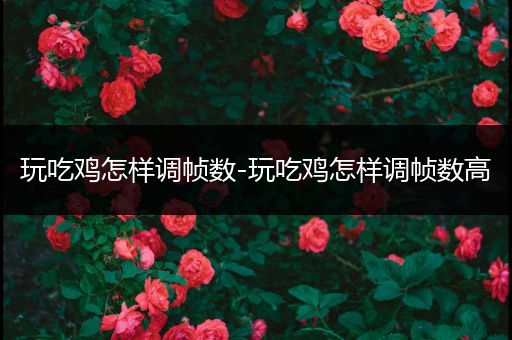 玩吃鸡怎样调帧数-玩吃鸡怎样调帧数高