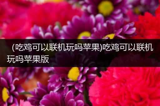 （吃鸡可以联机玩吗苹果)吃鸡可以联机玩吗苹果版