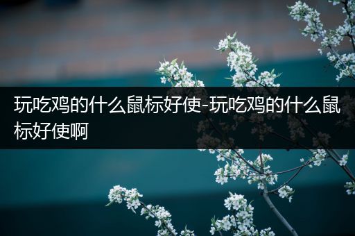 玩吃鸡的什么鼠标好使-玩吃鸡的什么鼠标好使啊