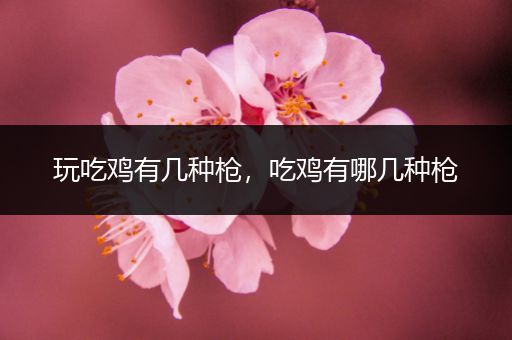 玩吃鸡有几种枪，吃鸡有哪几种枪