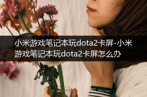 小米游戏笔记本玩dota2卡屏-小米游戏笔记本玩dota2卡屏怎么办