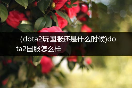 （dota2玩国服还是什么时候)dota2国服怎么样