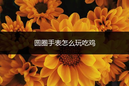 圆圈手表怎么玩吃鸡