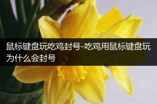 鼠标键盘玩吃鸡封号-吃鸡用鼠标键盘玩为什么会封号