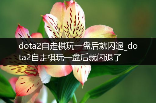 dota2自走棋玩一盘后就闪退_dota2自走棋玩一盘后就闪退了