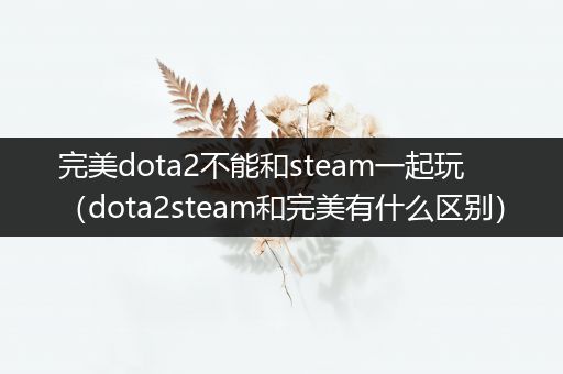 完美dota2不能和steam一起玩（dota2steam和完美有什么区别）