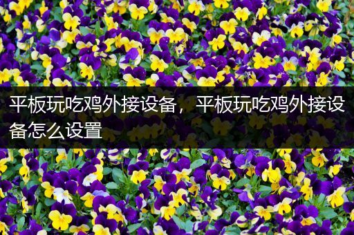 平板玩吃鸡外接设备，平板玩吃鸡外接设备怎么设置