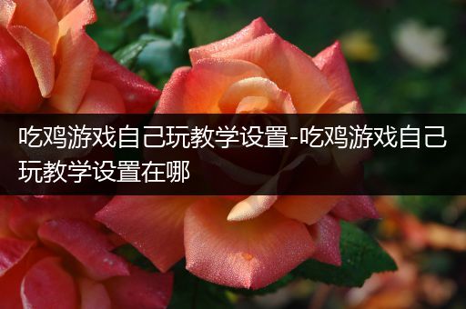 吃鸡游戏自己玩教学设置-吃鸡游戏自己玩教学设置在哪