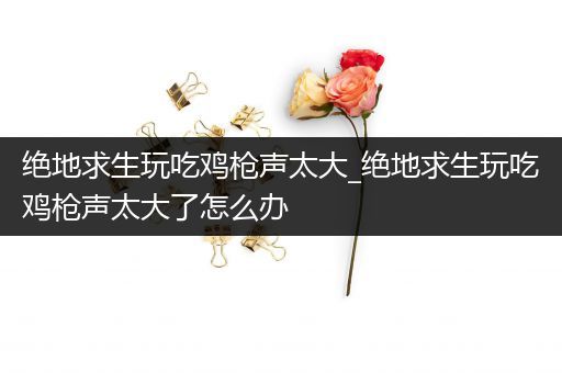 绝地求生玩吃鸡枪声太大_绝地求生玩吃鸡枪声太大了怎么办