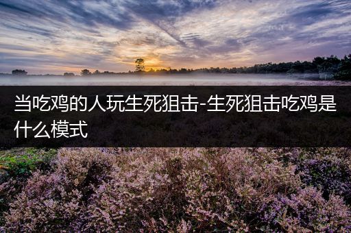 当吃鸡的人玩生死狙击-生死狙击吃鸡是什么模式
