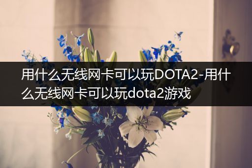 用什么无线网卡可以玩DOTA2-用什么无线网卡可以玩dota2游戏