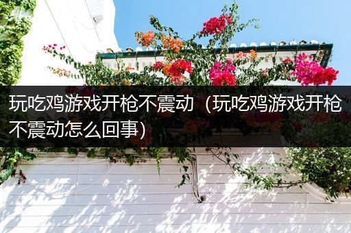 玩吃鸡游戏开枪不震动（玩吃鸡游戏开枪不震动怎么回事）