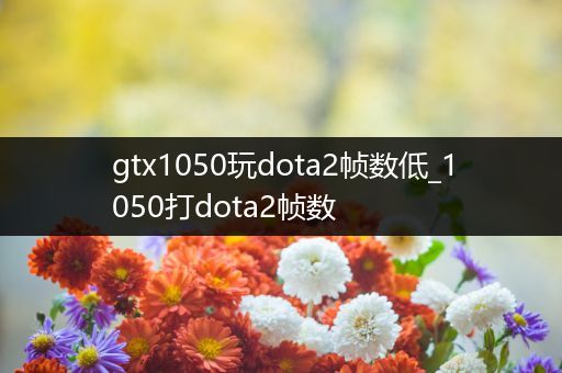 gtx1050玩dota2帧数低_1050打dota2帧数