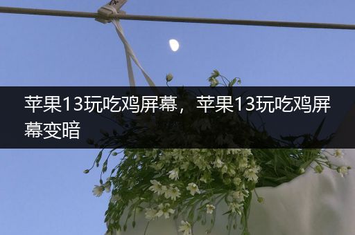 苹果13玩吃鸡屏幕，苹果13玩吃鸡屏幕变暗
