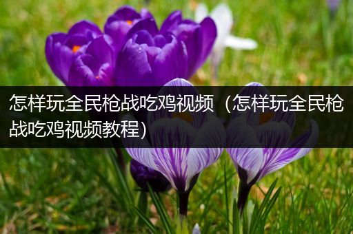 怎样玩全民枪战吃鸡视频（怎样玩全民枪战吃鸡视频教程）