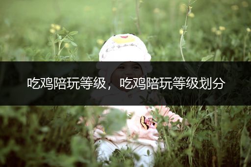 吃鸡陪玩等级，吃鸡陪玩等级划分