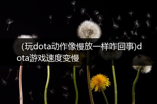 （玩dota动作像慢放一样咋回事)dota游戏速度变慢