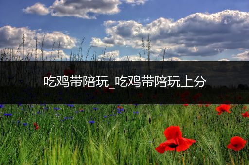 吃鸡带陪玩_吃鸡带陪玩上分