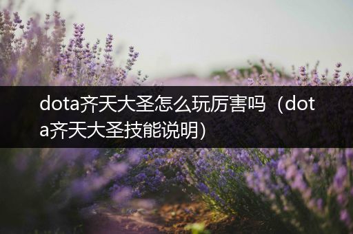 dota齐天大圣怎么玩厉害吗（dota齐天大圣技能说明）