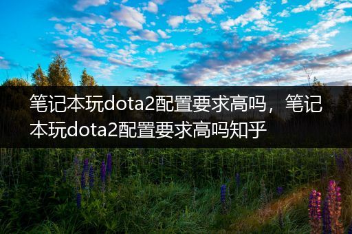 笔记本玩dota2配置要求高吗，笔记本玩dota2配置要求高吗知乎
