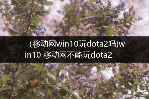 （移动网win10玩dota2吗)win10 移动网不能玩dota2