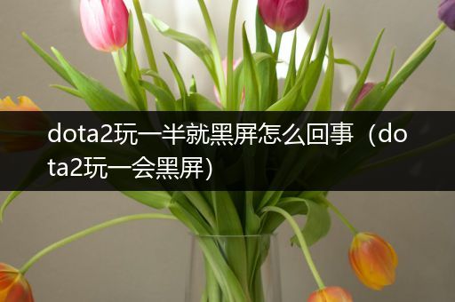 dota2玩一半就黑屏怎么回事（dota2玩一会黑屏）