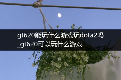 gt620能玩什么游戏玩dota2吗_gt620可以玩什么游戏