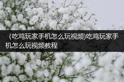 （吃鸡玩家手机怎么玩视频)吃鸡玩家手机怎么玩视频教程