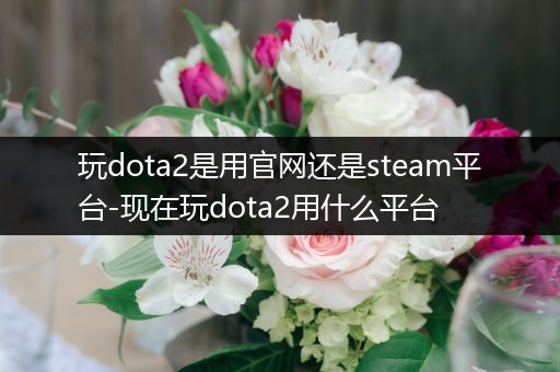 玩dota2是用官网还是steam平台-现在玩dota2用什么平台