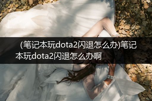 （笔记本玩dota2闪退怎么办)笔记本玩dota2闪退怎么办啊