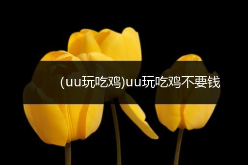 （uu玩吃鸡)uu玩吃鸡不要钱