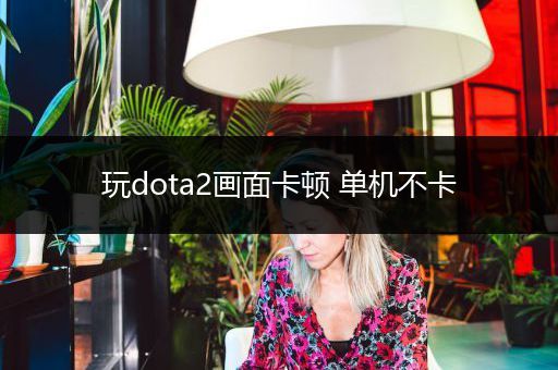 玩dota2画面卡顿 单机不卡