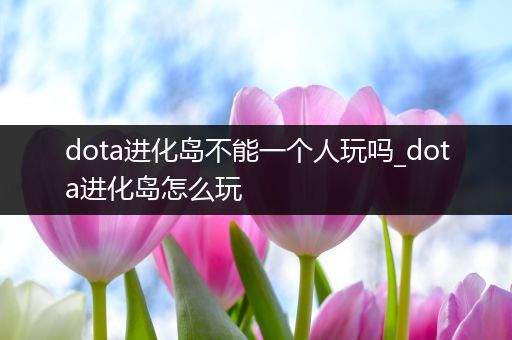 dota进化岛不能一个人玩吗_dota进化岛怎么玩