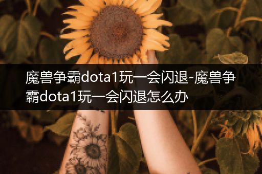 魔兽争霸dota1玩一会闪退-魔兽争霸dota1玩一会闪退怎么办
