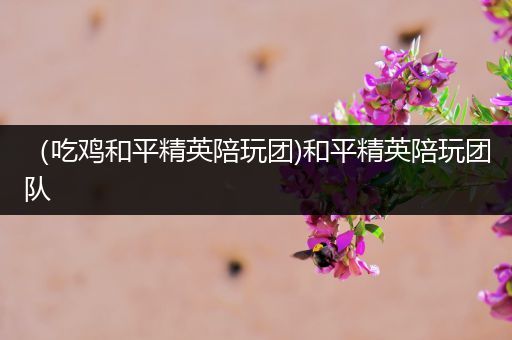 （吃鸡和平精英陪玩团)和平精英陪玩团队