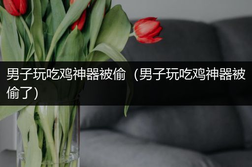 男子玩吃鸡神器被偷（男子玩吃鸡神器被偷了）