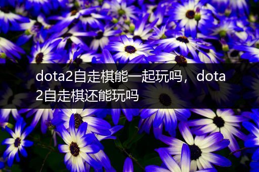 dota2自走棋能一起玩吗，dota2自走棋还能玩吗