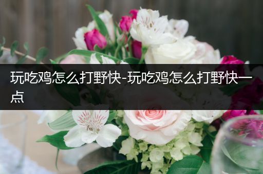 玩吃鸡怎么打野快-玩吃鸡怎么打野快一点