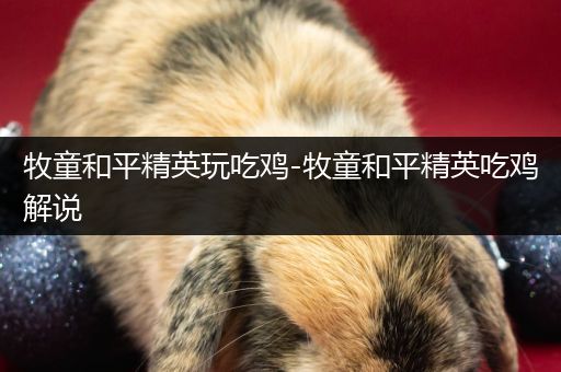 牧童和平精英玩吃鸡-牧童和平精英吃鸡解说