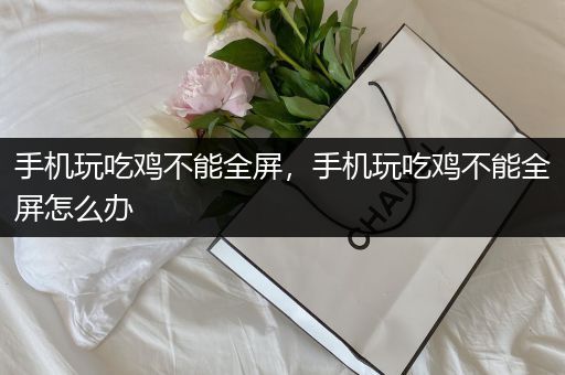 手机玩吃鸡不能全屏，手机玩吃鸡不能全屏怎么办